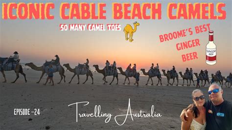 camel toes at the beach|ICONIC CABLE BEACH CAMELS